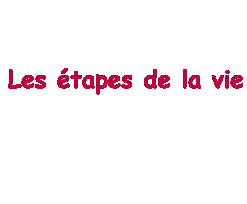 les couples