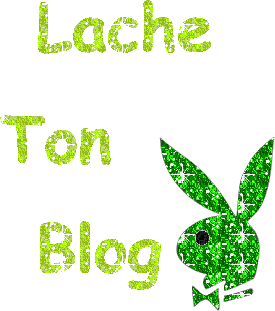 blog